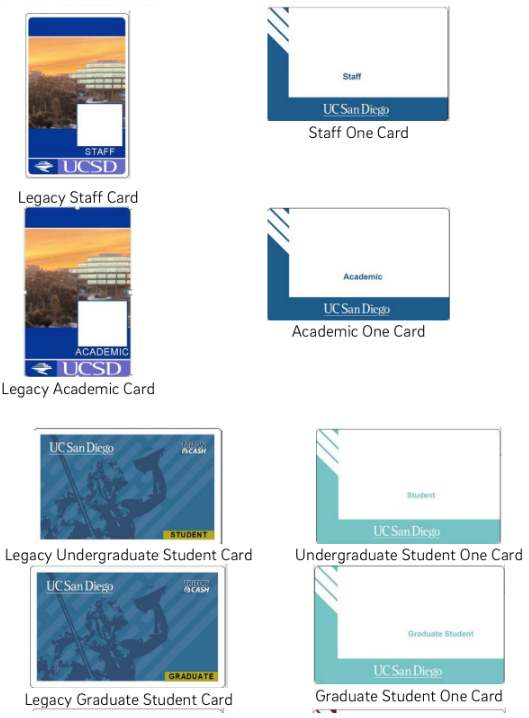 Staff Cards Example